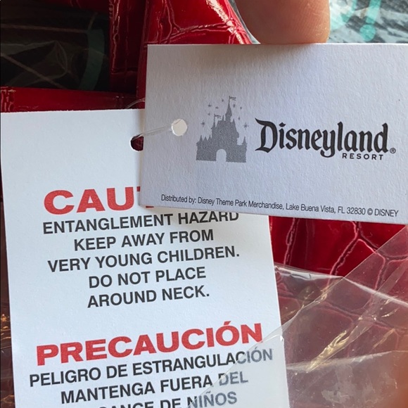 NWT Tote from Disneyland 🤩 - Picture 3 of 5